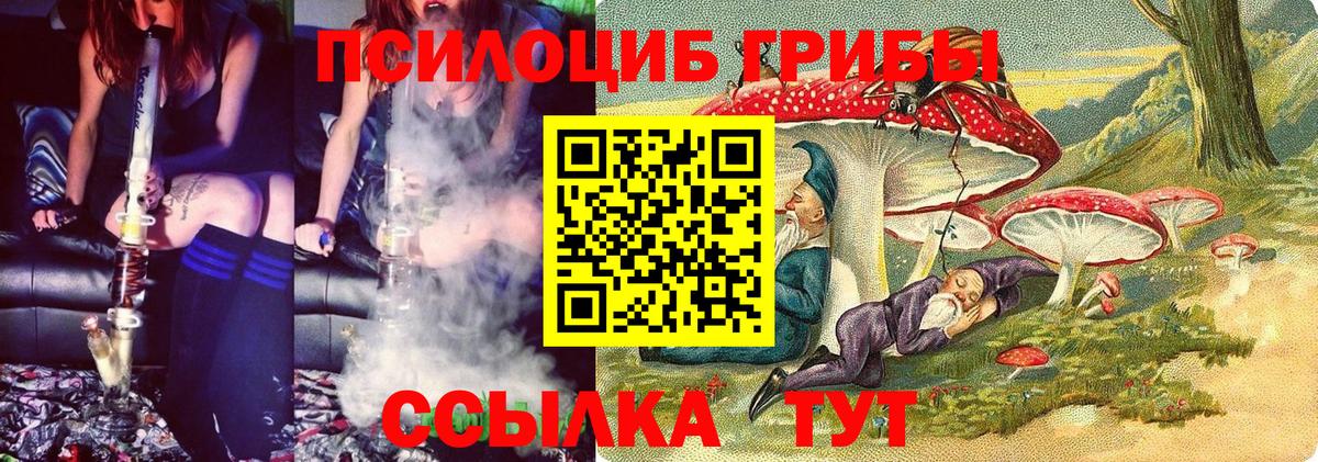 Щёлково  Галлюциногенные грибы прущие грибы  что такое   Вход с VPN 